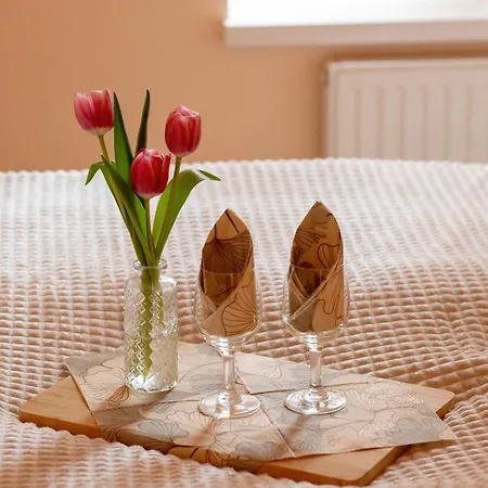 Stylish For Four Guests Close To The Center By Renters Kolobrzeg